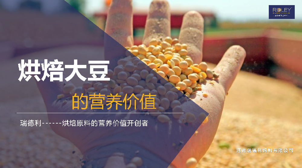烘焙大豆
