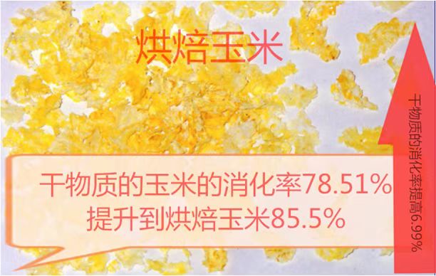 烘焙玉米